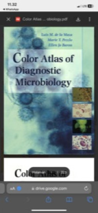 Image of Color Atlas of Diagnostic Microbiology