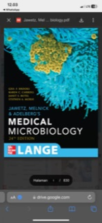 Image of Jawetz, Melnick & Adelberg's Medical Microbiology.
