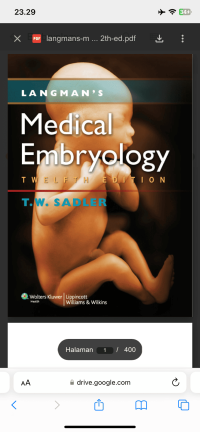 Image of Langman's medical embryology